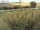 Webcam auf Fehmarn, 4.9 km entfernt