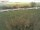 Webcam on Fehmarn, 5.8 mi away