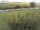 Webcam on Fehmarn, 4.2 mi away