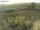 Webcam on Fehmarn, 19.6 mi away
