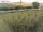 Webcam in Fehmarn, 54.9 km