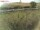 Webcam in Fehmarn, 54.9 km