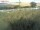 Webcam su Fehmarn, 8.6 km