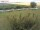 Webcam on Fehmarn, 21.2 mi away