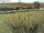 Webcam on Fehmarn, 36 mi away