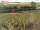 Webcam in Fehmarn, 54.9 km