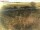 Webcam auf Fehmarn, 94.8 km entfernt