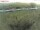 Webcam sur Fehmarn, 29.3 km