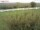 Webcam sur Fehmarn, 3.9 km