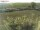 Webcam sur Fehmarn, 13.2 km