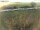 Webcam in Fehmarn, 54.9 km
