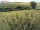 Webcam auf Fehmarn, 50.8 km entfernt