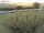 Webcam auf Fehmarn, 13 km entfernt
