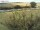 Webcam on Fehmarn, 4.8 mi away
