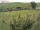 Webcam on Fehmarn, 15 mi away