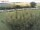 Webcam su Fehmarn, 13 km