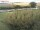 Webcam in Fehmarn, 28 km