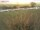 Webcam in Fehmarn, 54.9 km