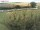 Webcam in Fehmarn, 14.5 km