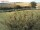 Webcam sur Fehmarn, 14 km