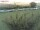 Webcam on Fehmarn, 5 mi away