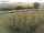 Webcam in Fehmarn, 14.5 km