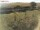 Webcam sur Fehmarn, 14.5 km