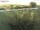 Webcam on Fehmarn, 21.2 mi away