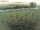 Webcam sur Fehmarn, 50.8 km