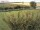 Webcam su Fehmarn, 4.9 km