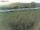 Webcam on Fehmarn, 36.6 mi away