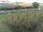 Webcam sur Fehmarn, 54.9 km