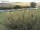 Webcam on Fehmarn, 5.3 mi away
