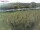 Webcam su Fehmarn, 54.9 km