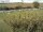 Webcam in Fehmarn, 42.2 km