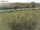 Webcam sur Fehmarn, 38.9 km