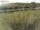 Webcam in Fehmarn, 42.2 km