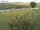 Webcam sur Fehmarn, 14.5 km