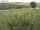 Webcam sur Fehmarn, 0.5 km