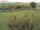 Webcam sur Fehmarn, 10.3 km