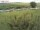 Webcam sur Fehmarn, 13.2 km