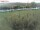 Webcam on Fehmarn, 16.3 mi away