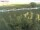 Webcam on Fehmarn, 11.3 mi away