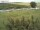 Webcam su Fehmarn, 10.3 km