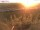 Webcam su Fehmarn, 13 km