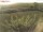 Webcam su Fehmarn, 13.5 km