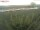 Webcam su Fehmarn, 12.6 km