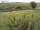Webcam on Fehmarn, 4.8 mi away