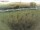 Webcam su Fehmarn, 14 km