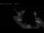 Webcam in Cologne, 0.2 mi away